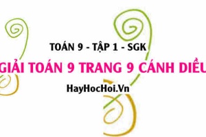 Giải Toán 9 trang 9 tập 1 Cánh Diều SGK